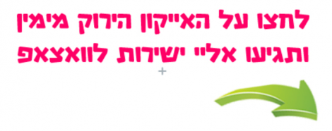 שליחת הודעה להזמנת הצגה